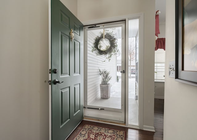 foyer entrance with dark hardwood / wood-style flooring