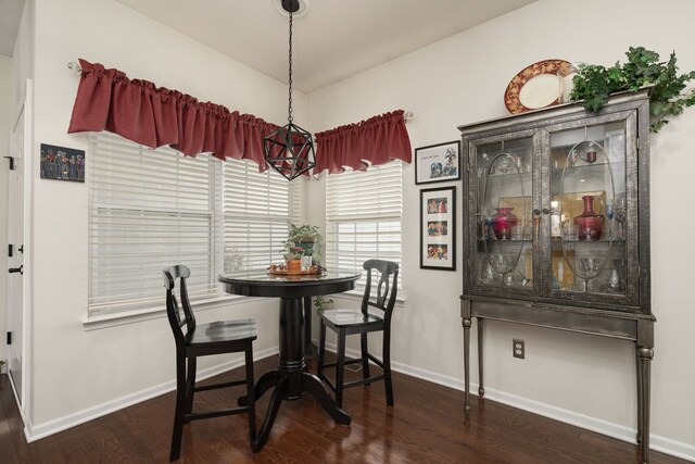 dining room featuring dark hardwood / wood-style flooring