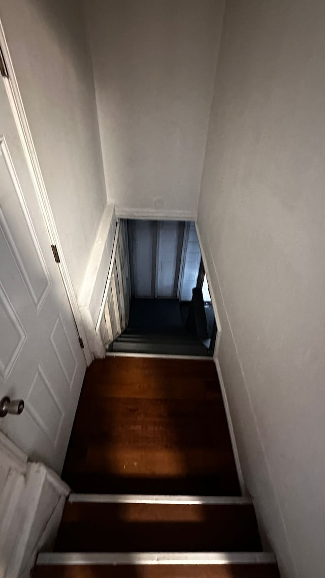 staircase with hardwood / wood-style flooring