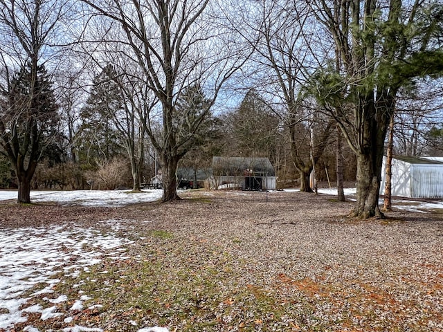 view of snowy yard