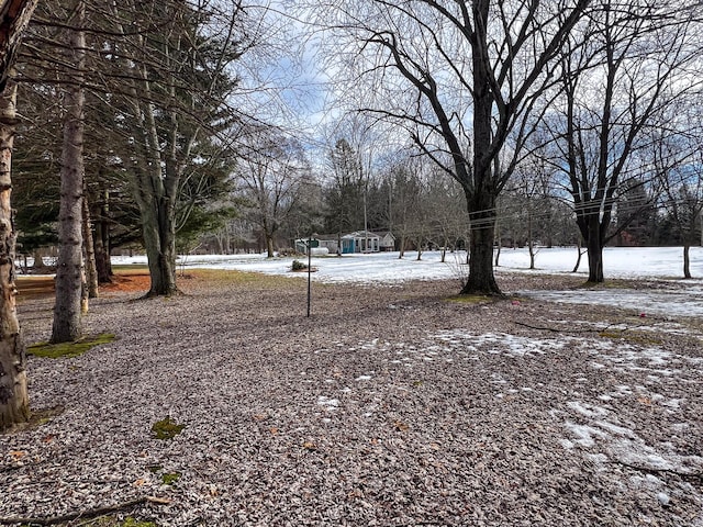 view of yard layered in snow