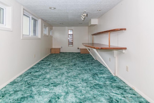 basement featuring carpet