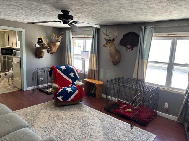 interior space featuring dark wood-type flooring, ceiling fan, and a textured ceiling