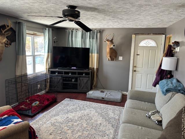 living room with hardwood / wood-style flooring, ceiling fan, and a textured ceiling