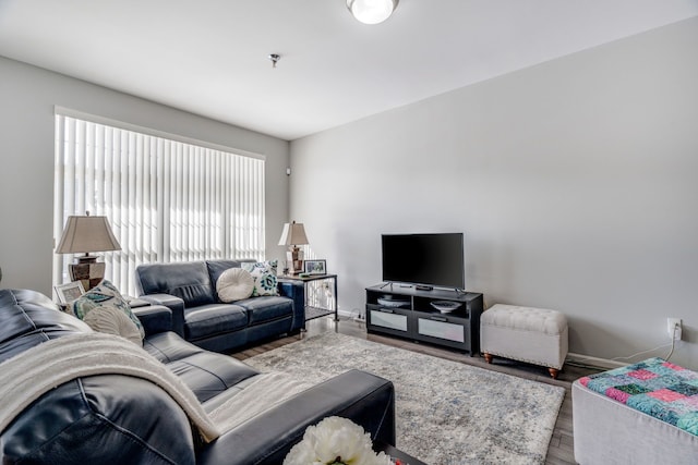 living room featuring wood-type flooring