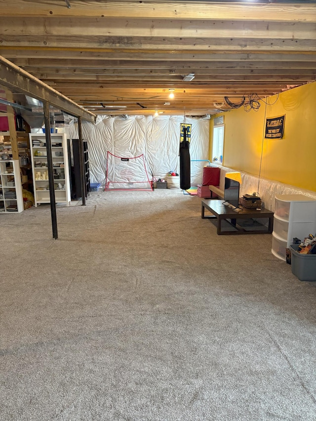 basement featuring carpet flooring