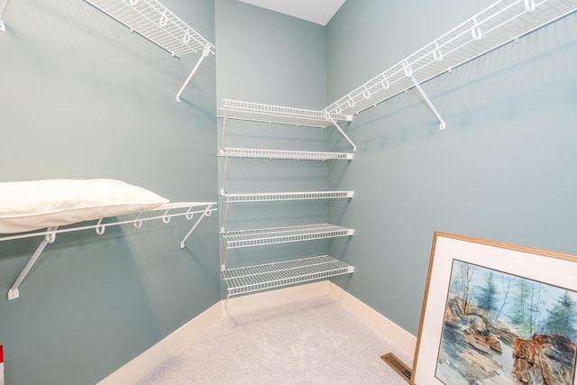 spacious closet with carpet flooring