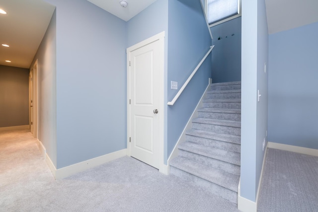 stairway featuring carpet floors