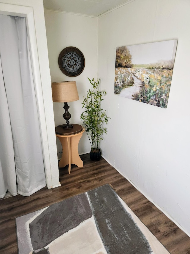 interior space with hardwood / wood-style floors