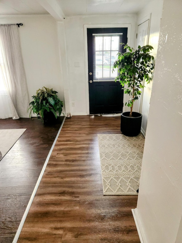 doorway to outside with dark hardwood / wood-style floors