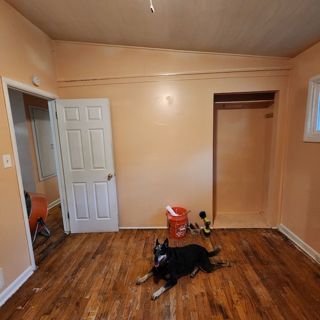 interior space with dark hardwood / wood-style floors