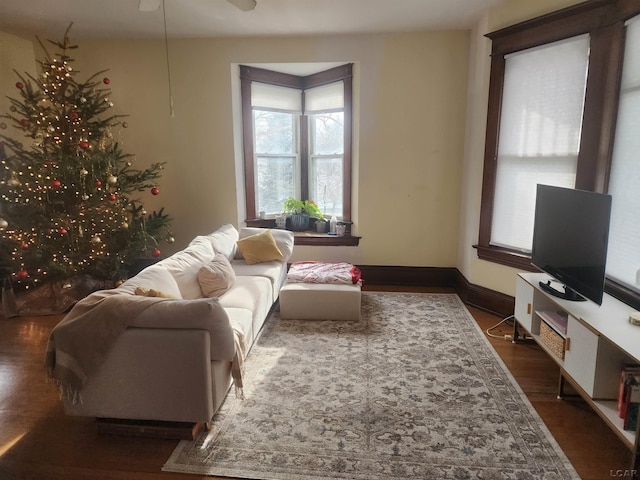 living room with dark hardwood / wood-style flooring