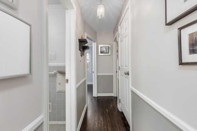 corridor featuring dark hardwood / wood-style floors