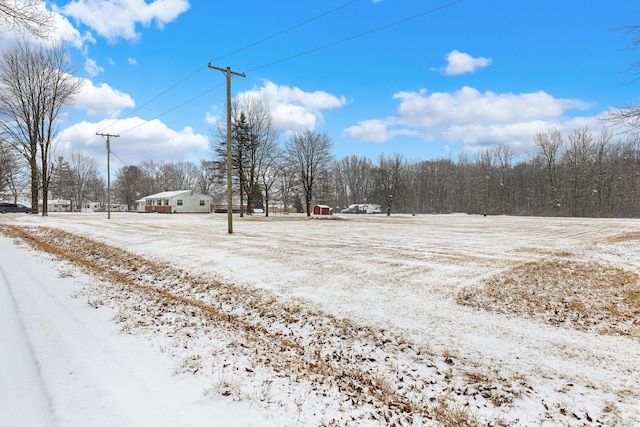 view of snowy yard