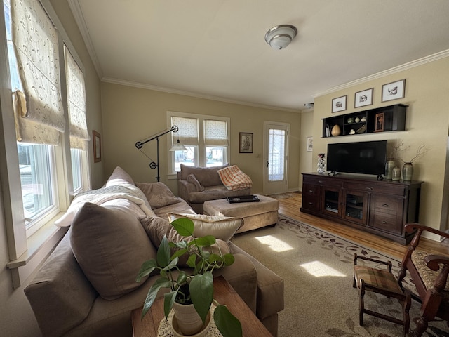 living room featuring hardwood / wood-style flooring and crown molding