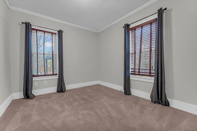 carpeted empty room with crown molding, plenty of natural light, and a textured ceiling