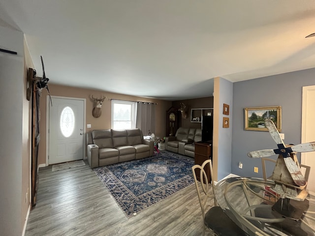 living room with hardwood / wood-style flooring