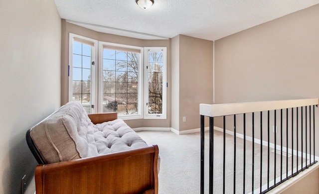 sitting room with light carpet and a textured ceiling