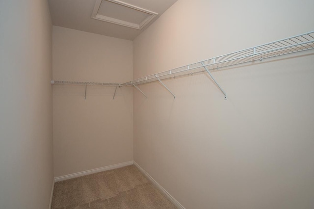 spacious closet with carpet floors and attic access