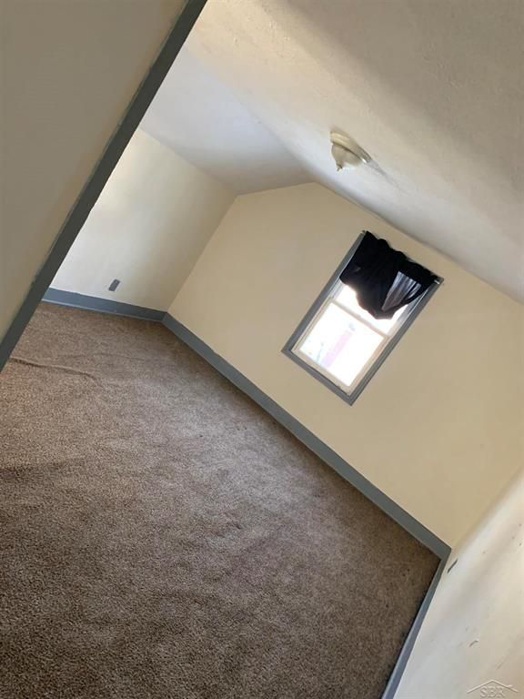 additional living space featuring lofted ceiling and carpet flooring