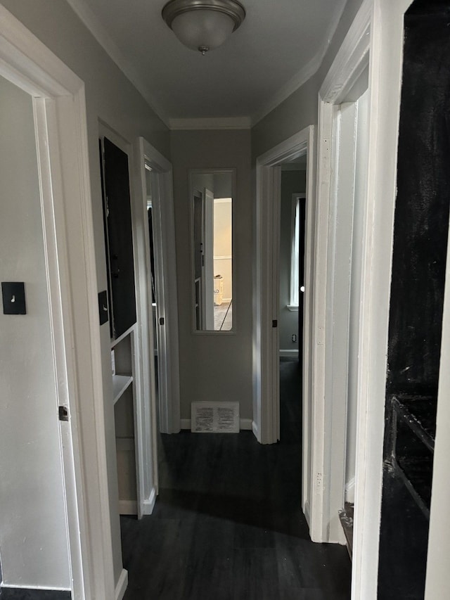 corridor with crown molding and dark hardwood / wood-style floors