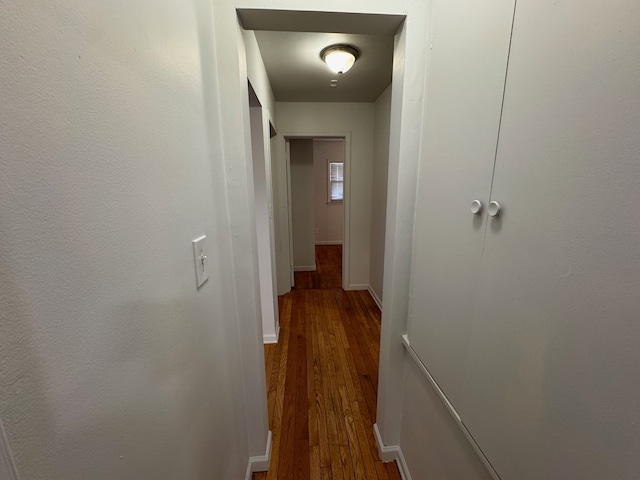 corridor featuring dark wood-type flooring