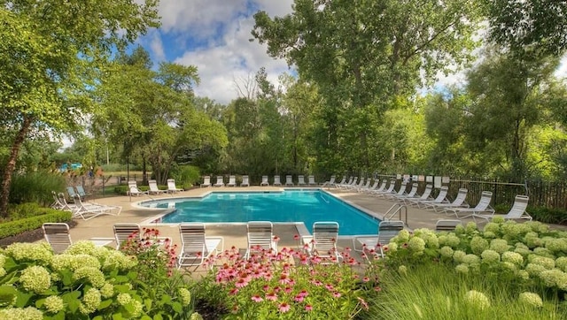 view of pool featuring a patio