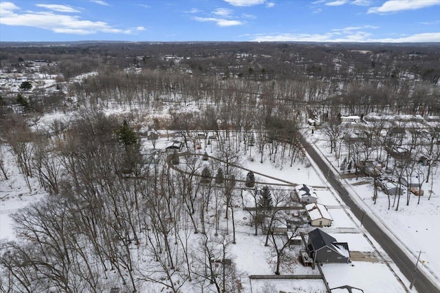 view of snowy aerial view