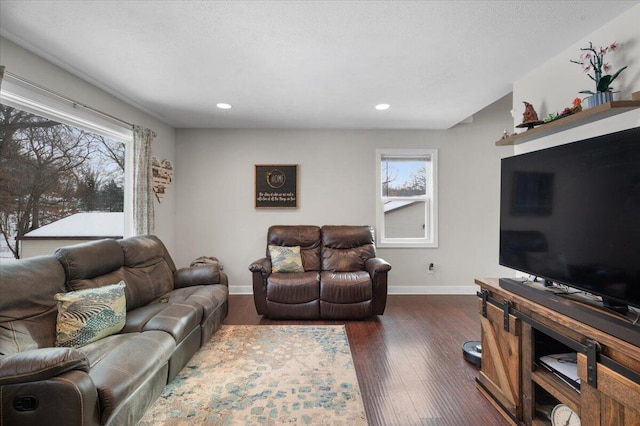 living room featuring dark hardwood / wood-style flooring