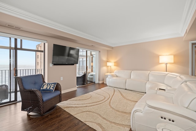 living room with crown molding and wood-type flooring