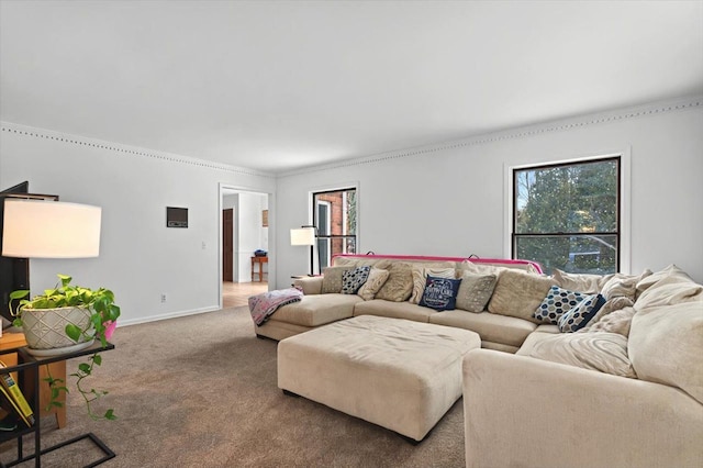 carpeted living area with crown molding, baseboards, and plenty of natural light