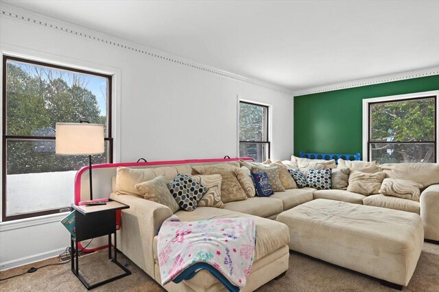 living area with ornamental molding and carpet