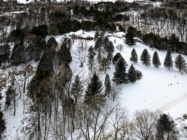 view of snowy aerial view