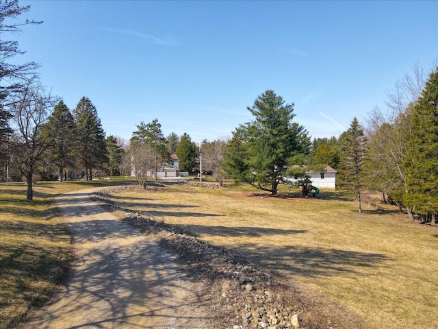 view of yard