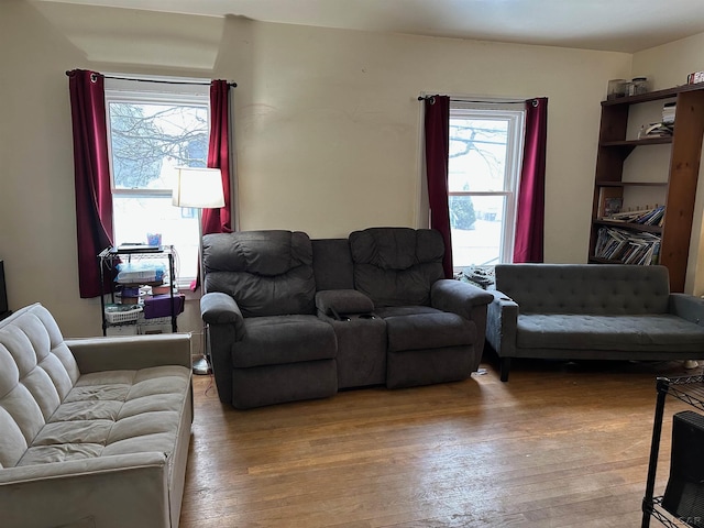 living room with wood-type flooring