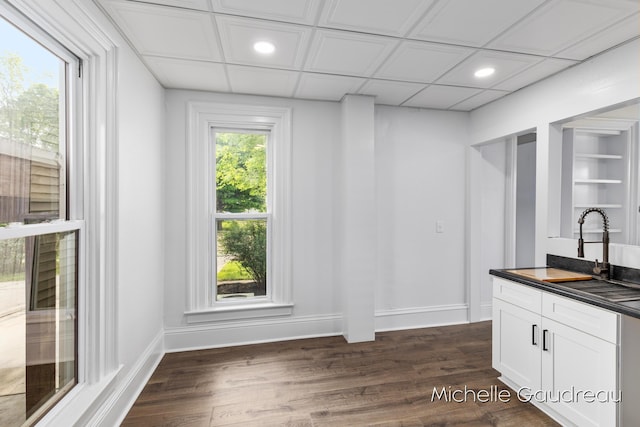 interior space featuring built in shelves, dark hardwood / wood-style flooring, sink, and white cabinets