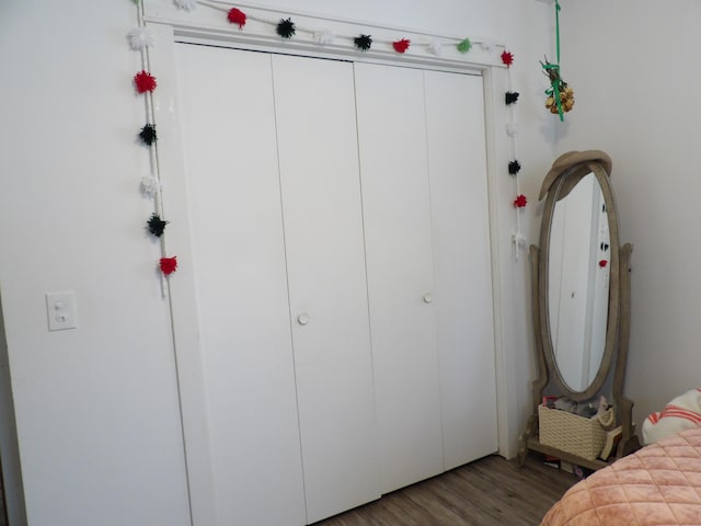 bedroom featuring hardwood / wood-style flooring and a closet