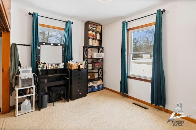 carpeted home office with a wealth of natural light