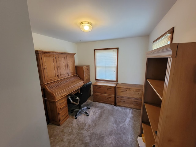 home office with light carpet