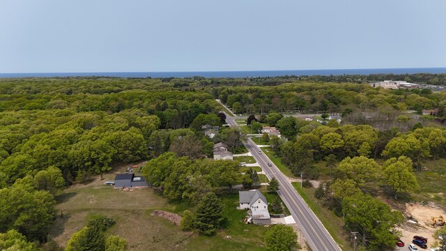 721 Merkey Rd W, Manistee, MI 49660 - photo 52