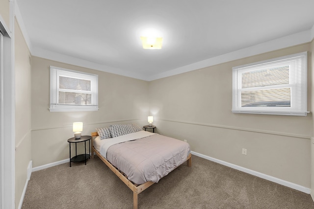 bedroom featuring carpet flooring