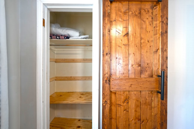 view of closet