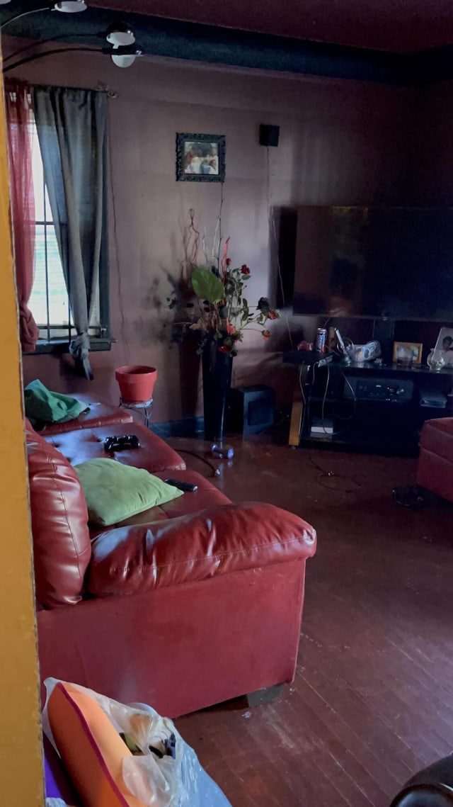 living room featuring hardwood / wood-style floors