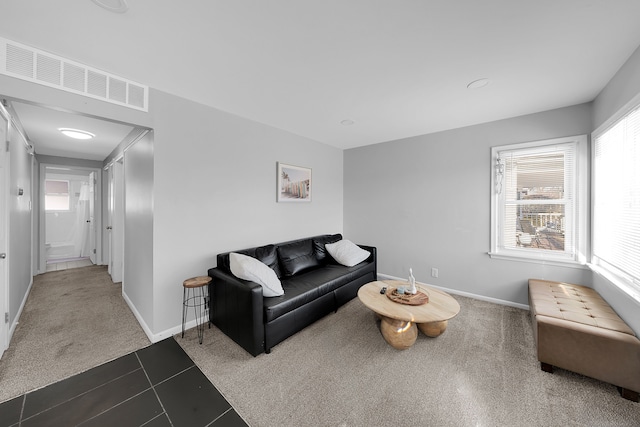 living room featuring dark colored carpet