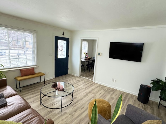 living room featuring ornamental molding and light hardwood / wood-style flooring