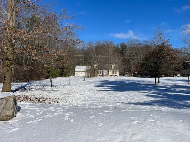 view of yard covered in snow