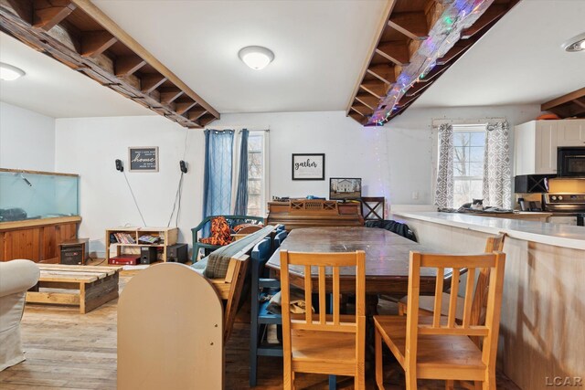 dining room with light hardwood / wood-style floors