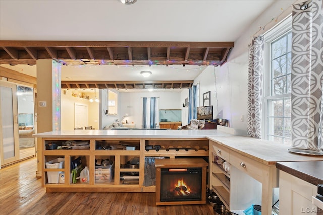 kitchen with wood-type flooring