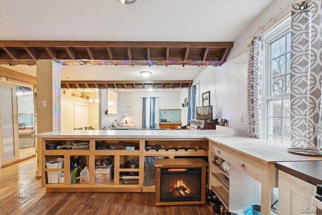 kitchen featuring wood-type flooring