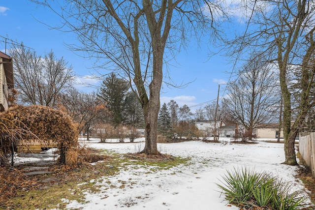 view of snowy yard